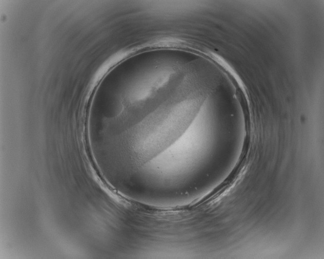 X0000064041437200601271151