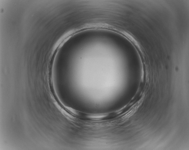 X0000064041438200601271151