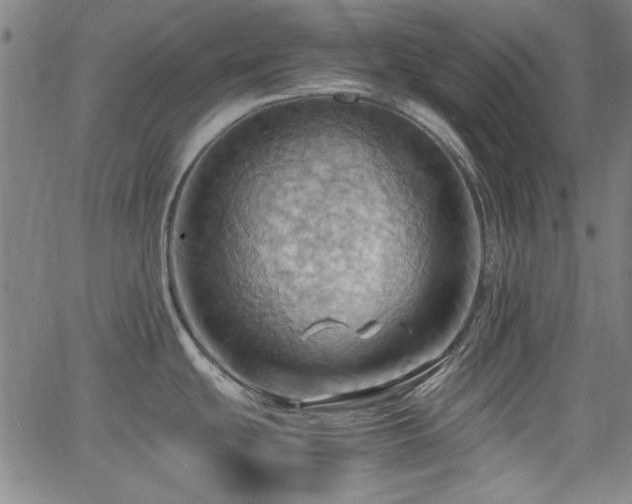 X0000064041439200601271151