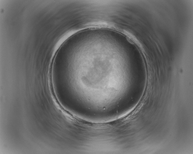 X0000064041440200601271151