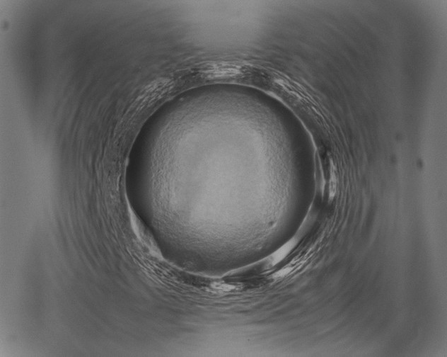 X0000064041441200601271150