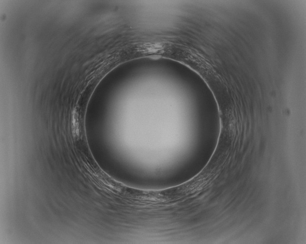 X0000064041442200601271150