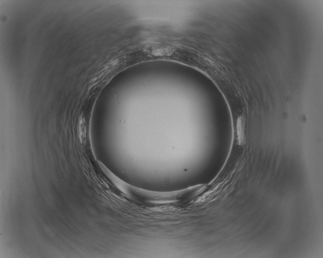 X0000064041443200601271150