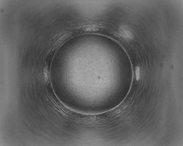 X0000064041444200601271150