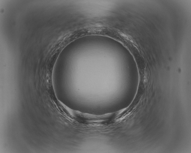 X0000064041445200601271150