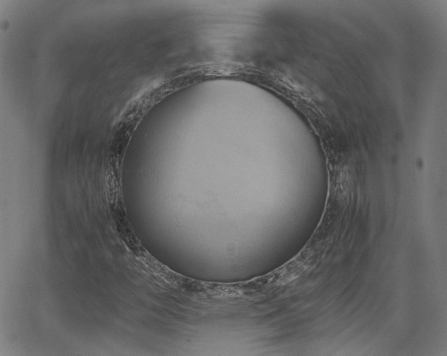 X0000064041446200601271150