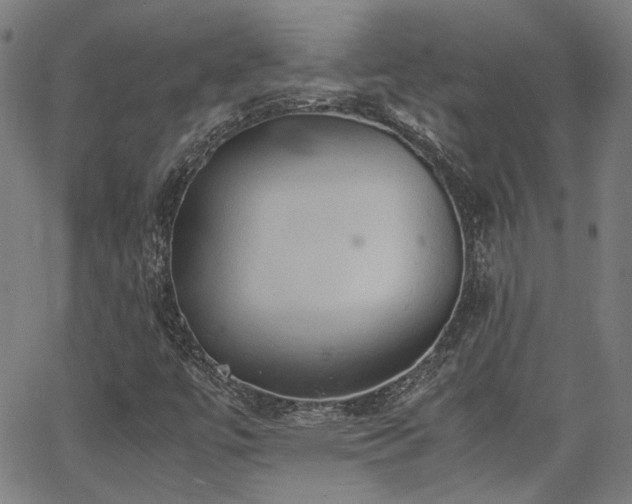 X0000064041447200601271150