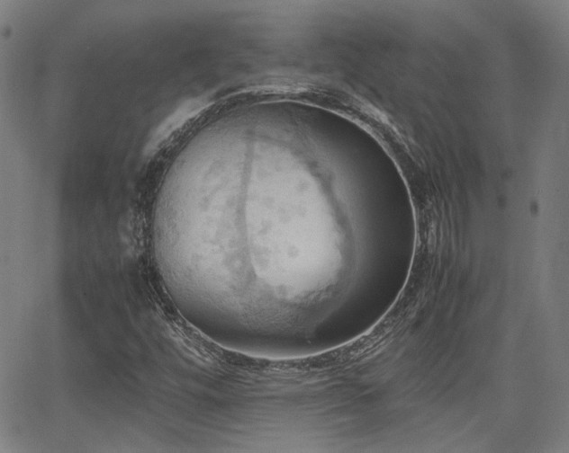 X0000064041448200601271150