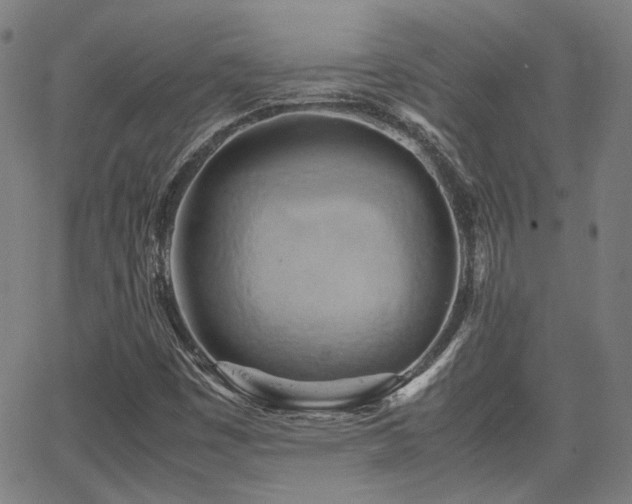 X0000064041449200601271150