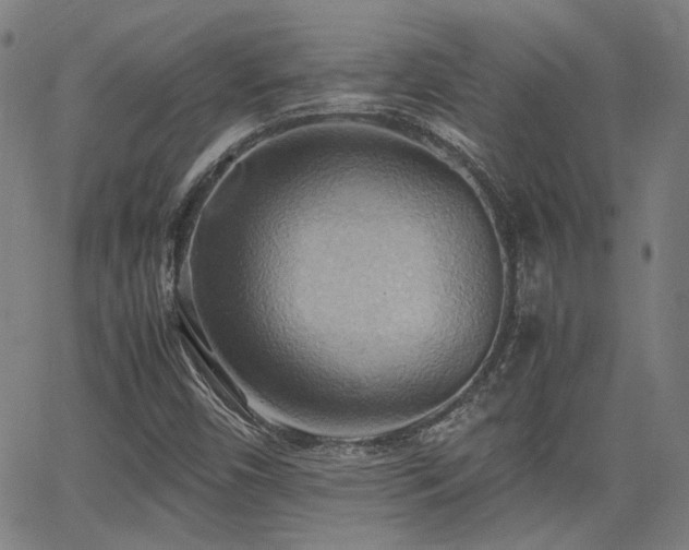 X0000064041450200601271150