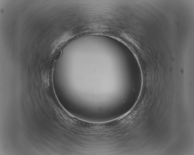 X0000064041451200601271150