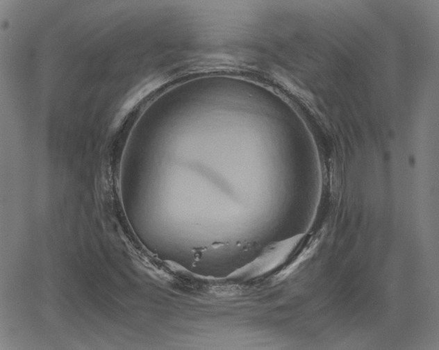 X0000064041453200601271150