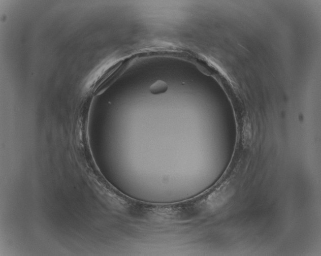 X0000064041455200601271150