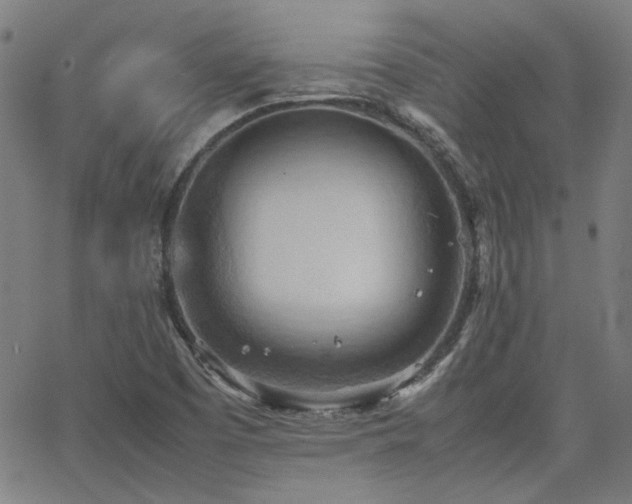 X0000064041457200601271150