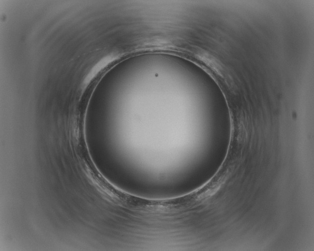 X0000064041458200601271150