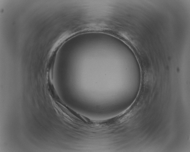 X0000064041459200601271150