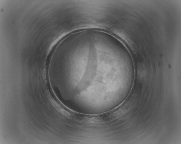 X0000064041460200601271150