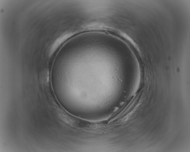 X0000064041461200601271150