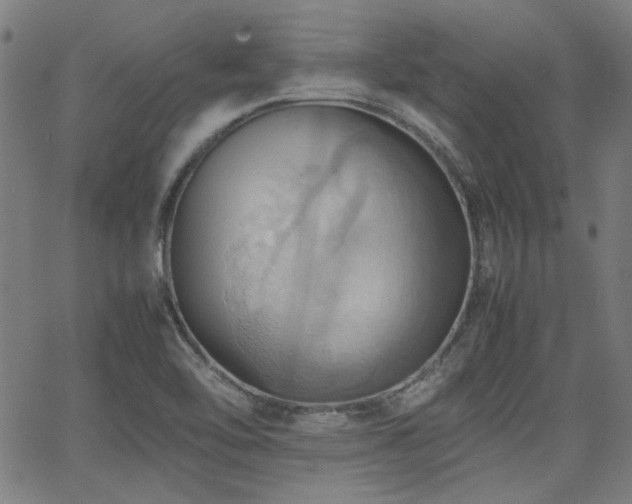 X0000064041462200601271150