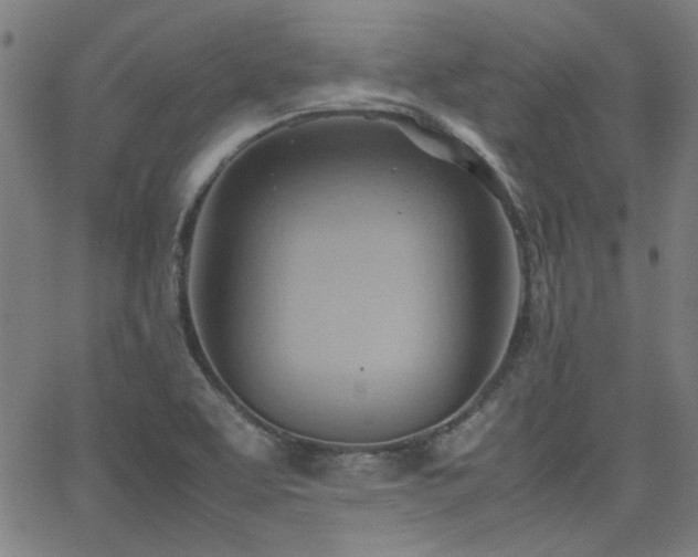 X0000064041463200601271150