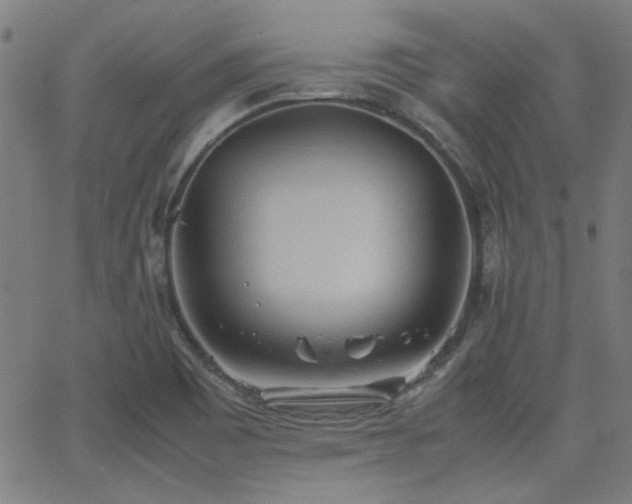 X0000064041465200601271150