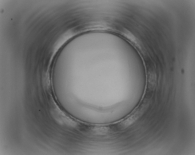 X0000064041466200601271150