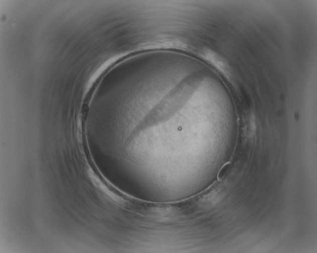 X0000064041468200601271150