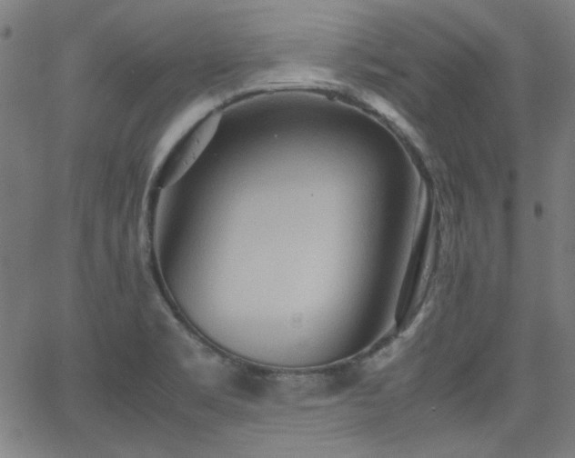 X0000064041469200601271150