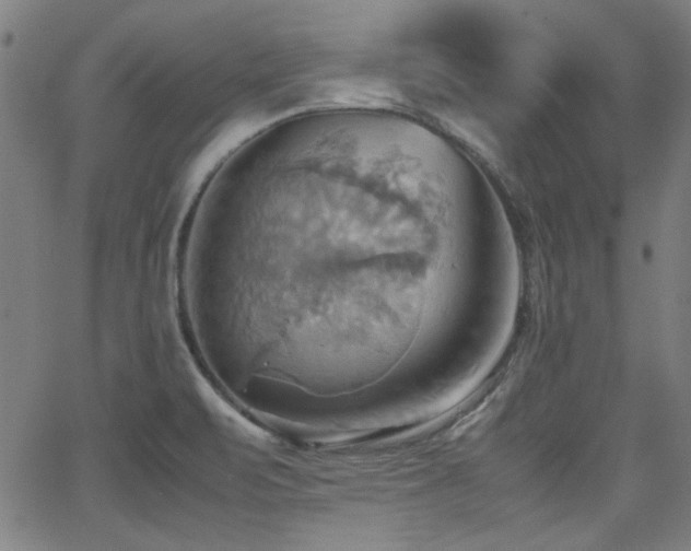 X0000064041471200601271150