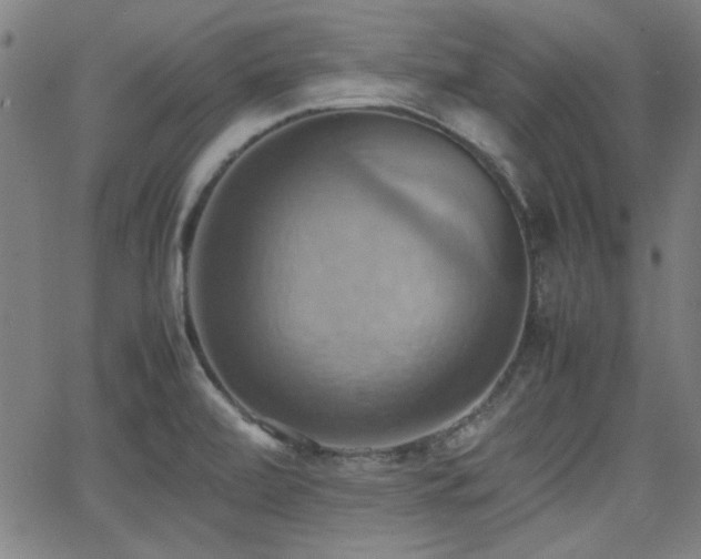 X0000064041472200601271150