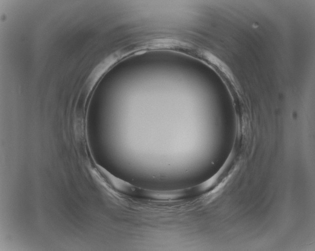 X0000064041473200601271150