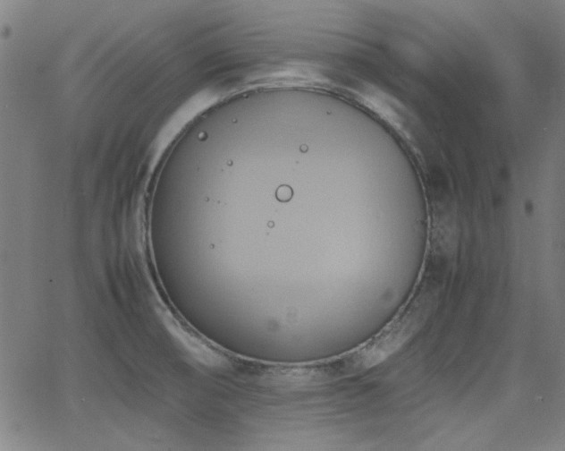 X0000064041474200601271150