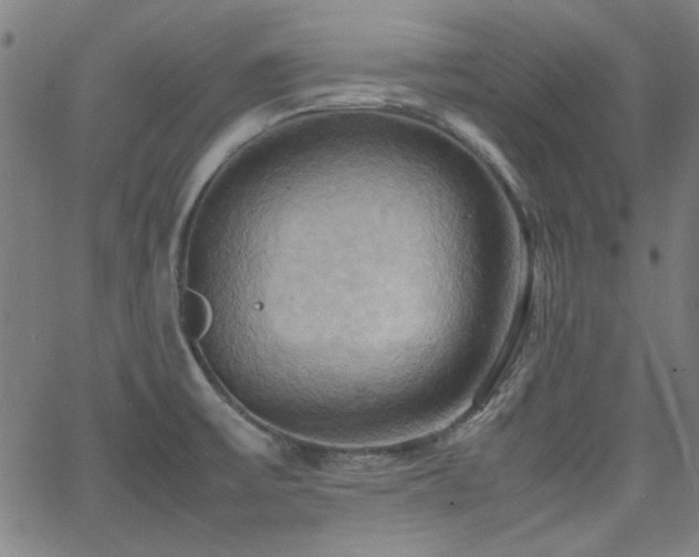 X0000064041475200601271150