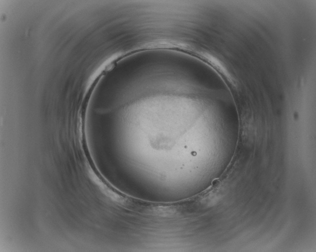 X0000064041476200601271150