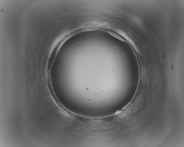 X0000064041477200601271150