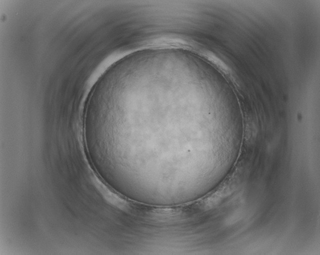 X0000064041478200601271150