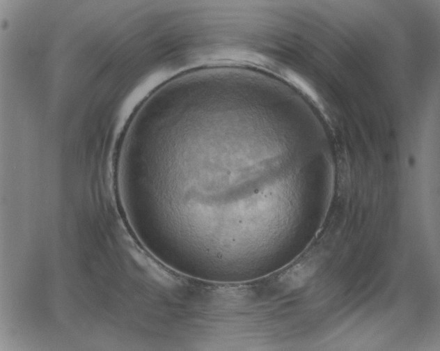 X0000064041480200601271150