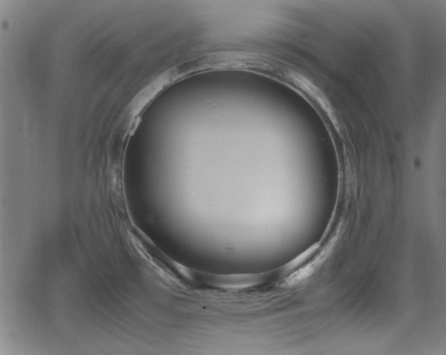 X0000064041481200601271150