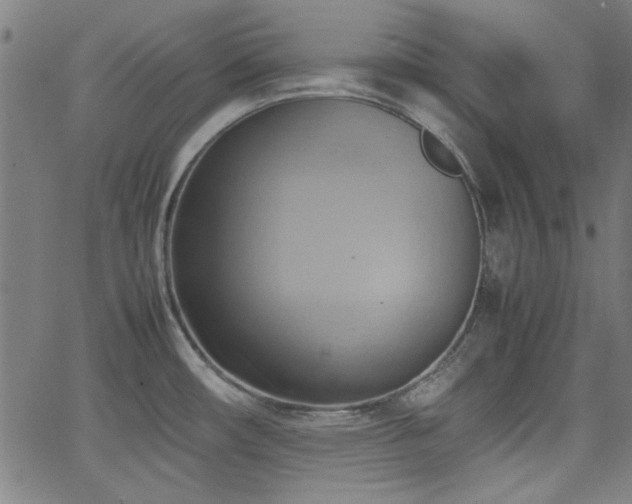 X0000064041482200601271149