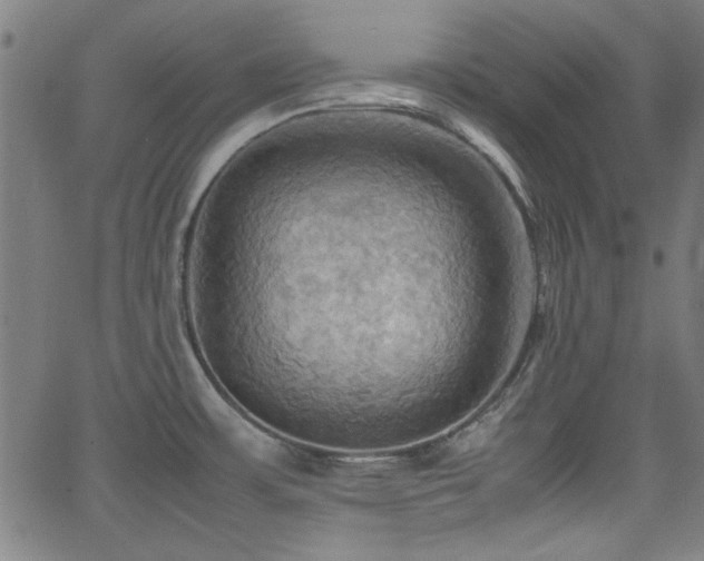 X0000064041483200601271149