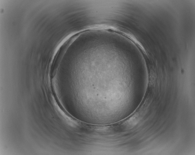 X0000064041484200601271149