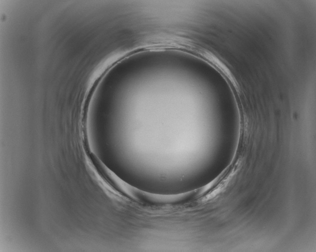 X0000064041485200601271149