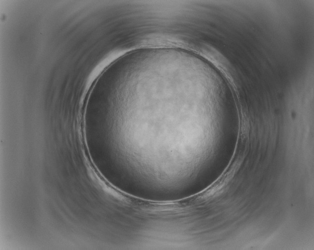 X0000064041486200601271149