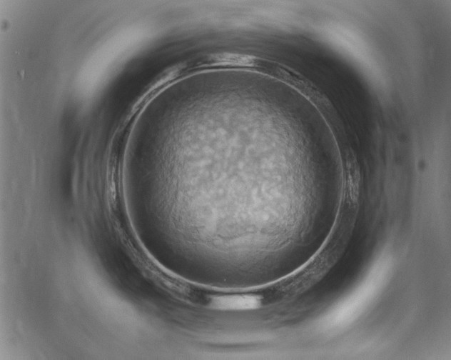 X0000064041487200601271149