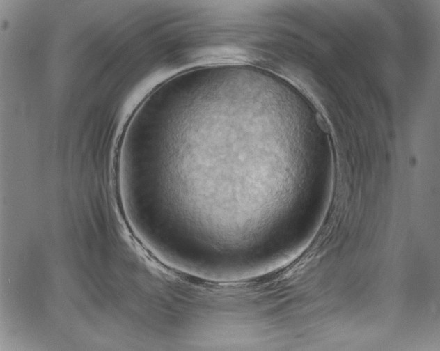 X0000064041488200601271149