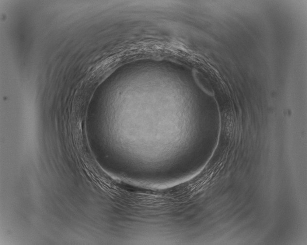 X0000064041489200601271149