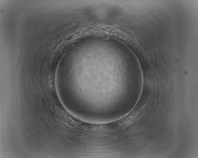 X0000064041490200601271149