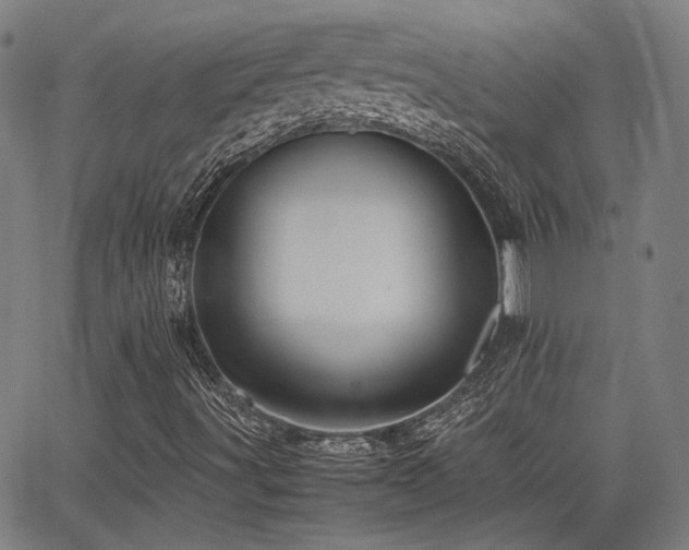 X0000064041491200601271149