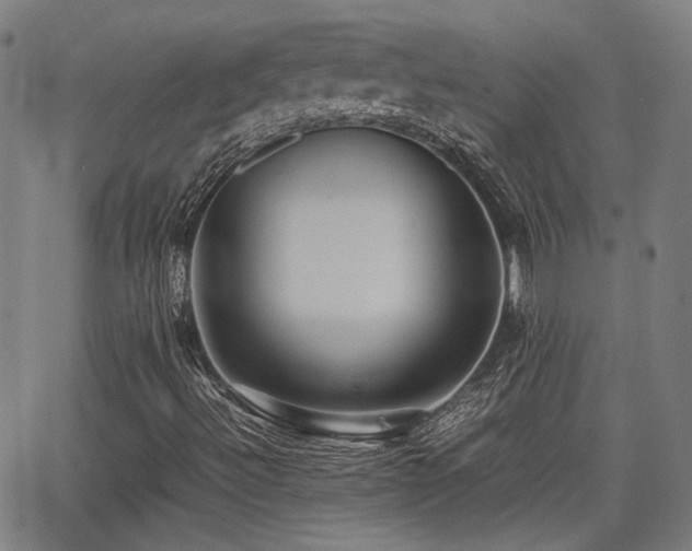 X0000064041492200601271149