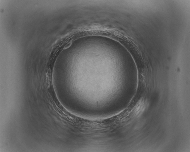 X0000064041493200601271149